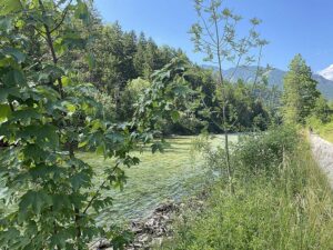 Natürlicher Flusslauf der Traun