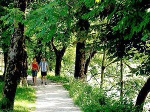 Traun mit Traunreiterweg und Spaziergänger